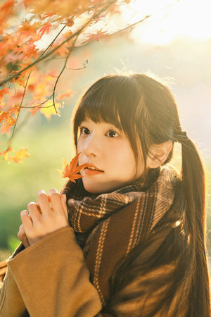 少年张三丰何家劲版